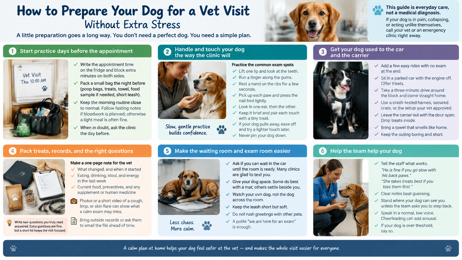 How to Prepare Your Dog for a Vet Visit Without Extra Stress