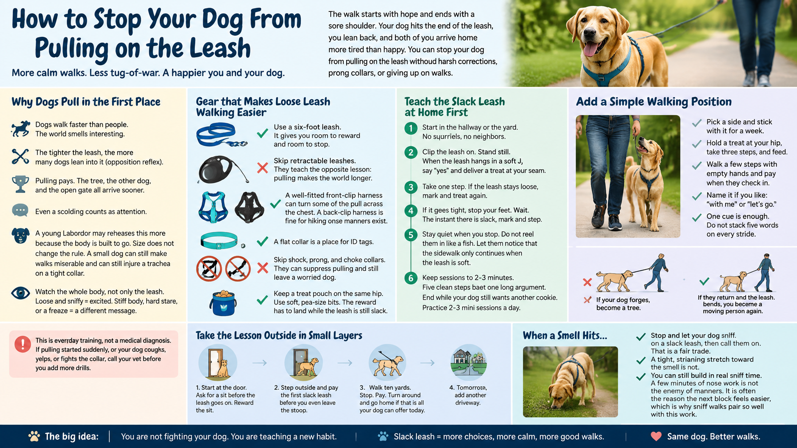 How to Stop Your Dog From Pulling on the Leash